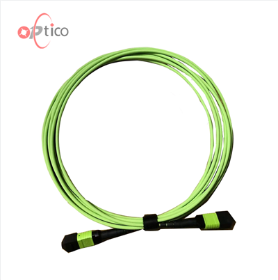 12F MTP MPO OM5 Trunk Cable