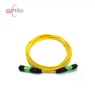 12F Singemode MTP Trunk Cable