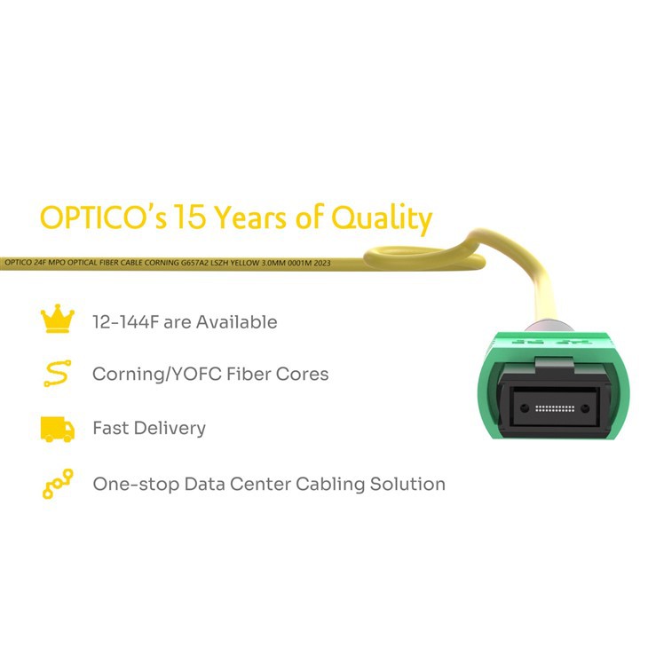40G MPO MTP Patch Cable 24F To 2x12F OM2 OM3 OM4 OM5